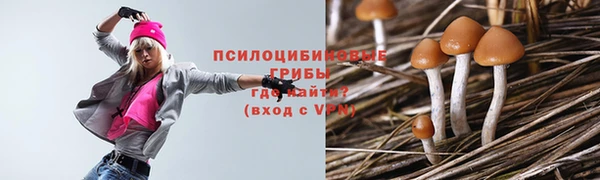 герыч Богородск