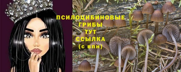 меф VHQ Богданович