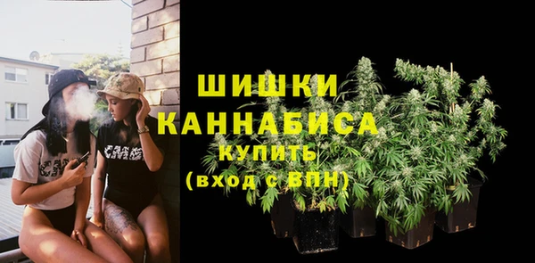 хмурый Белокуриха