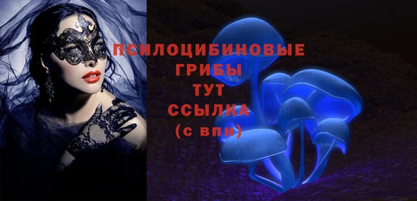 кокаин Богородицк